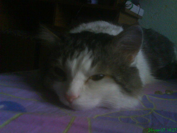 Виктор Молотков