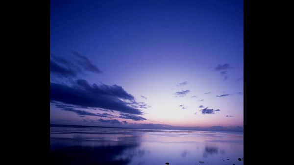 Алена Коровина