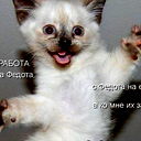 Алексей Корзников
