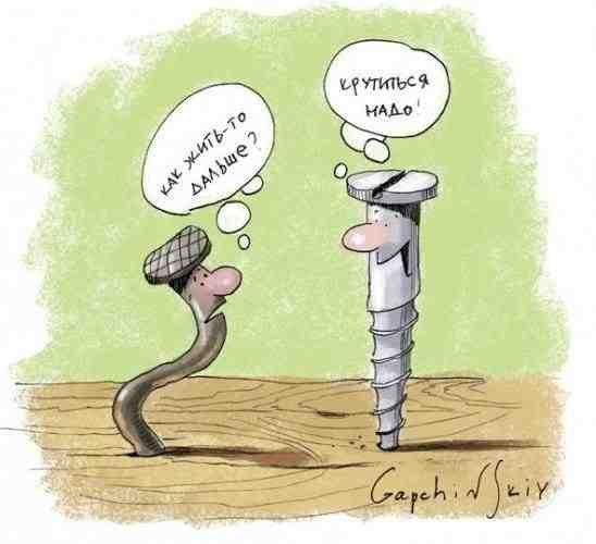 Брынзов Макс