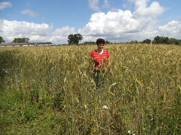 Людмила Митревеца