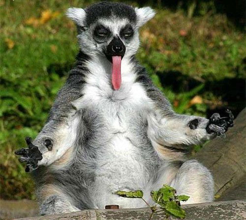 Анжелика Кирилина