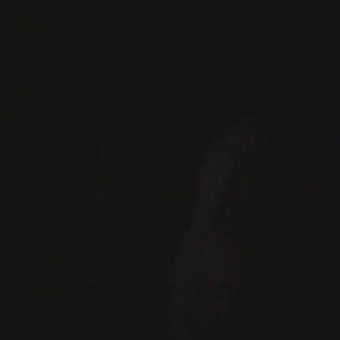 Миша Рябошапка