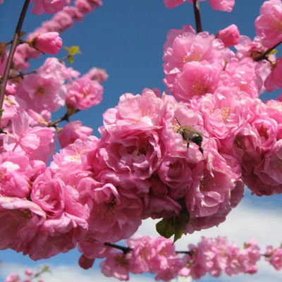 Марина Александровна