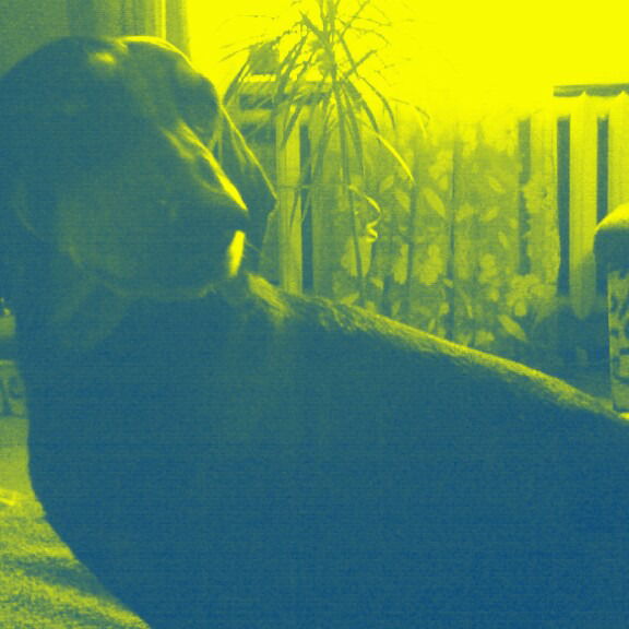 Света Ковалева