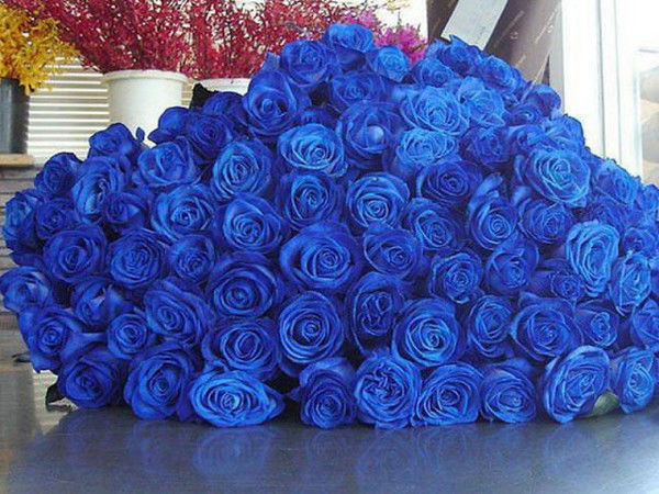 Эльвира Тертышная