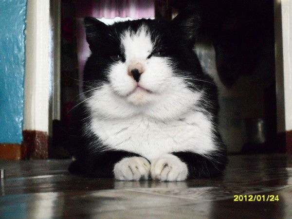 Сергей Глушаков