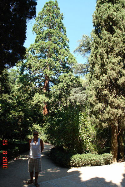 Николай Никитнев