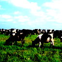 Ислам Рысмаганбетов