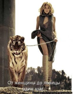 А_Лиса_Я! *встранечудес*