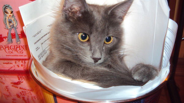 Оксана Красненькова