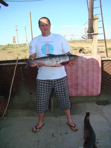 Евгений Некрасов