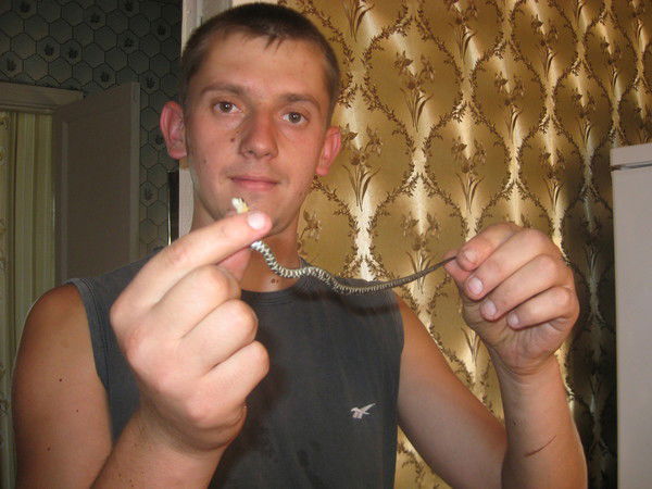 Алексей Винокуров