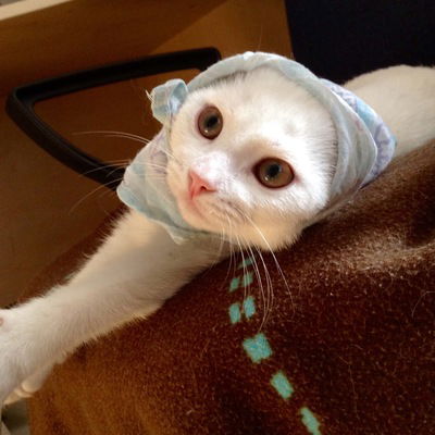 Александр Шутов