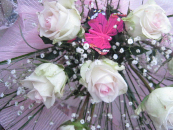 Надюша Стародумова