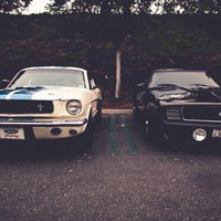 Богдан Гаврилюк