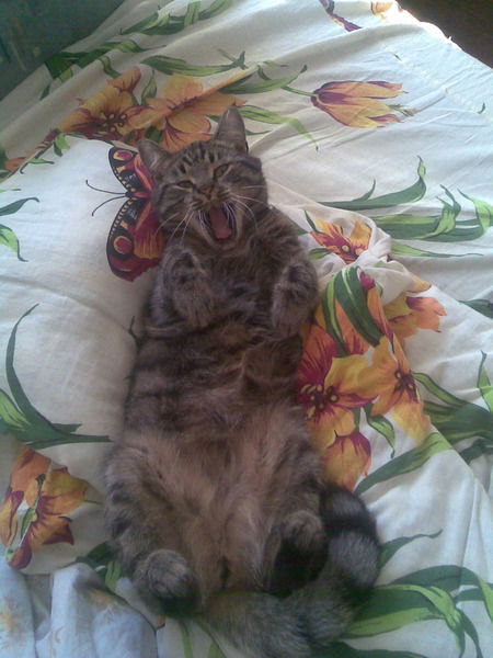 Роман Балинский