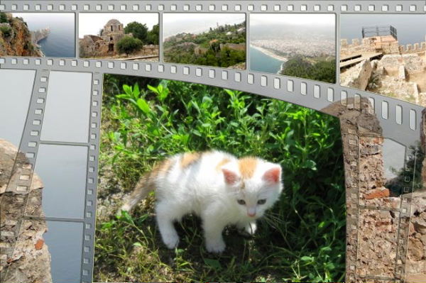 Нина Железнова