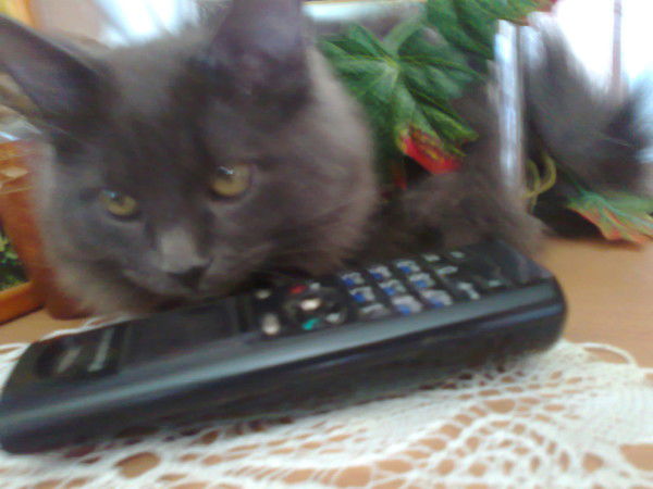 Святозар ...............