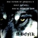 Tohtar Botabekov