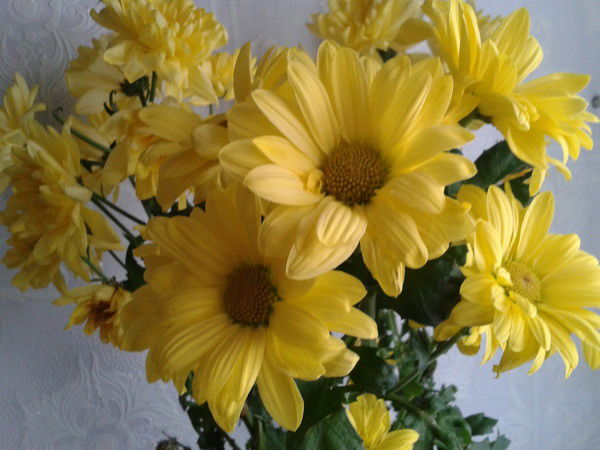 Библиотека Кузнецовская