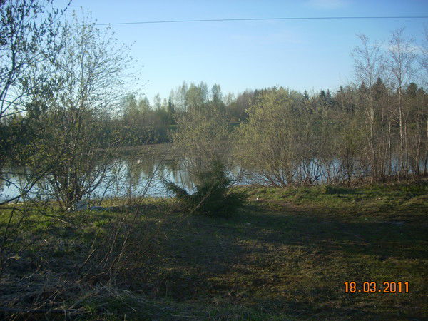 Татьяна Фомина