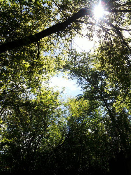 Гуля Гарипова