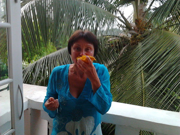 Елена Синенко