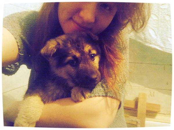 Енот Леркович