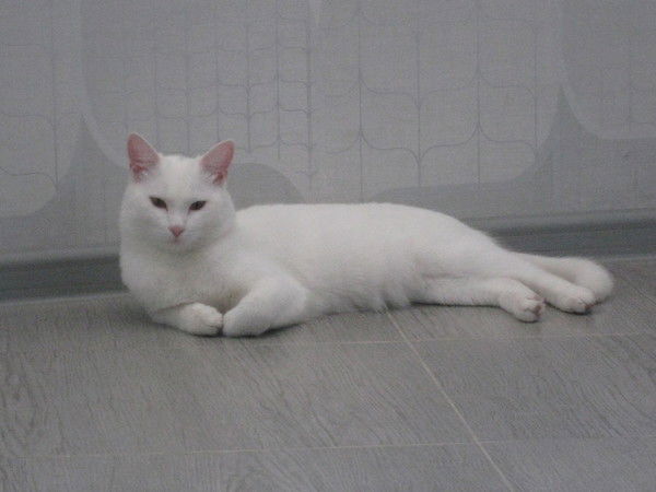 Ъъъъъъъъъъъъъъ Ъъъъъъъъъъъъъ