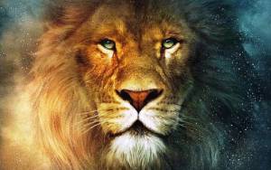 Галымжан Бубеков