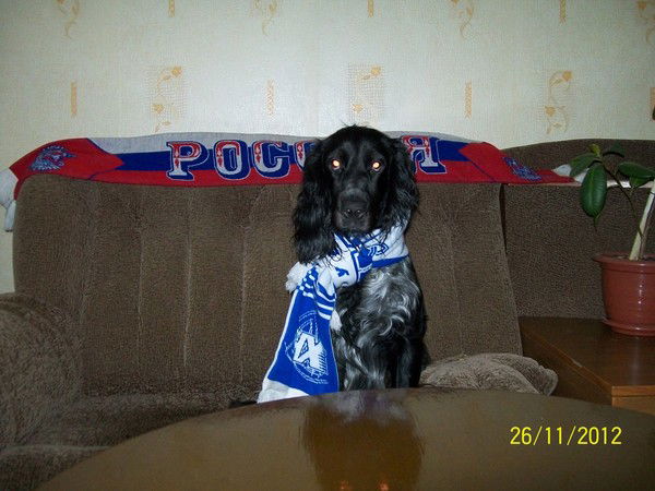 Игорь Васильев