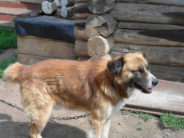 Лариса Кунаккузина