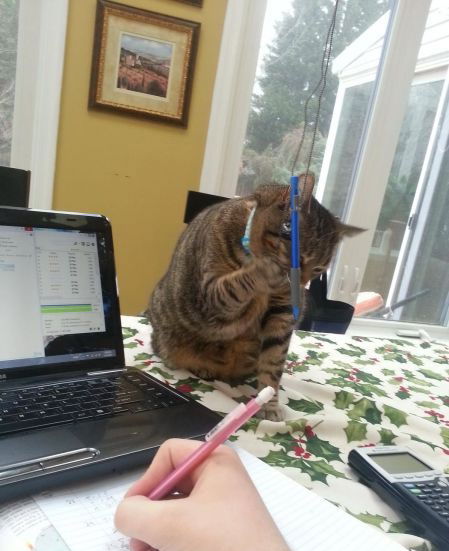 Людмила Андреева