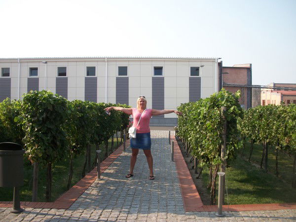 Елена Корнева