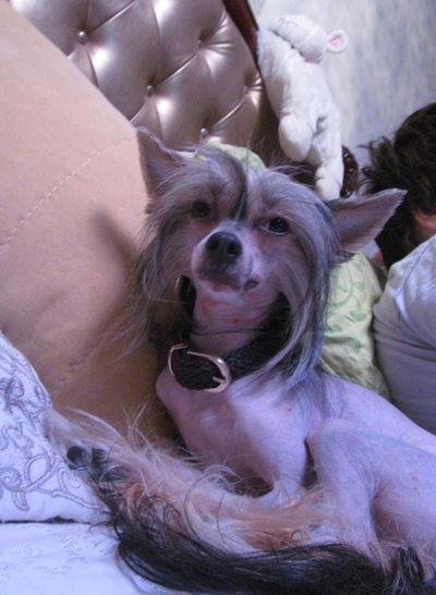 Наталия Размолодина