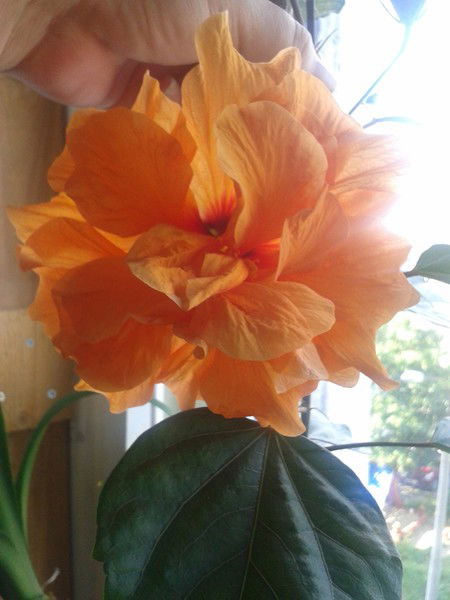 Юлия Узакова