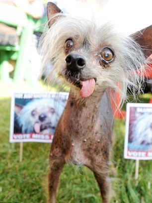 Иван Иванов