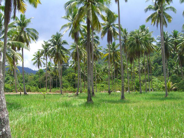 Юлия Карабаева