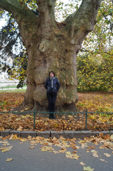 Неизвестно Неизвестно