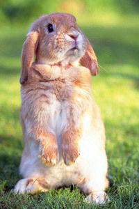 Юлия Сидоренко