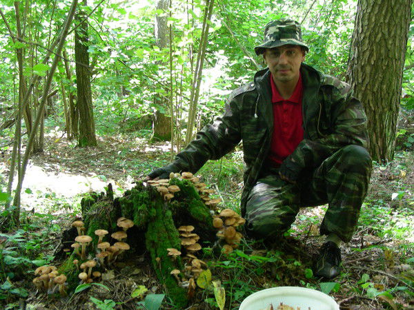 Паша Советин