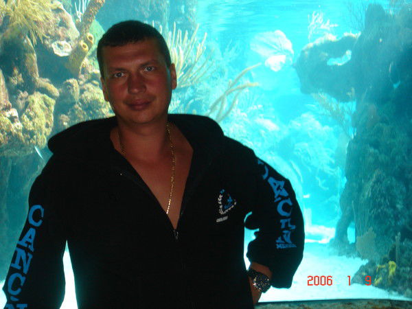 Неизвестно Неизвестно