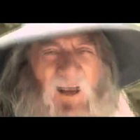 Егор Николаев