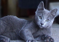 Людмила Людмила