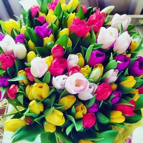 Зина Нугаева