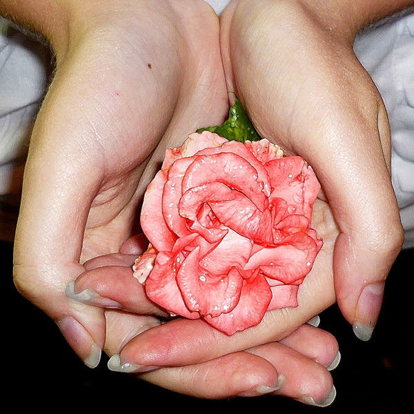 Яна Паровишник