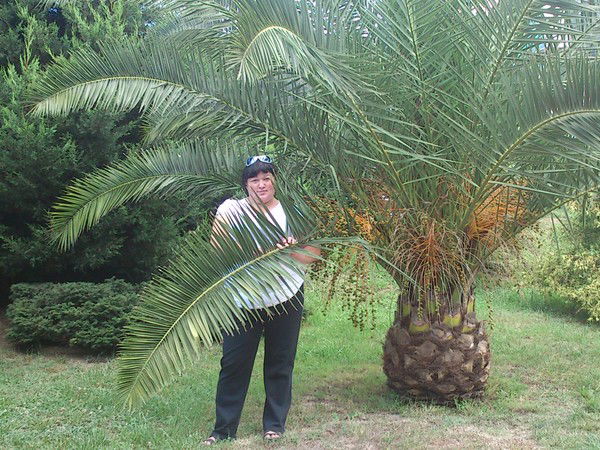 Анастасия Лукаускас