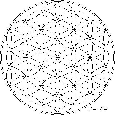 Алексей Алексеев