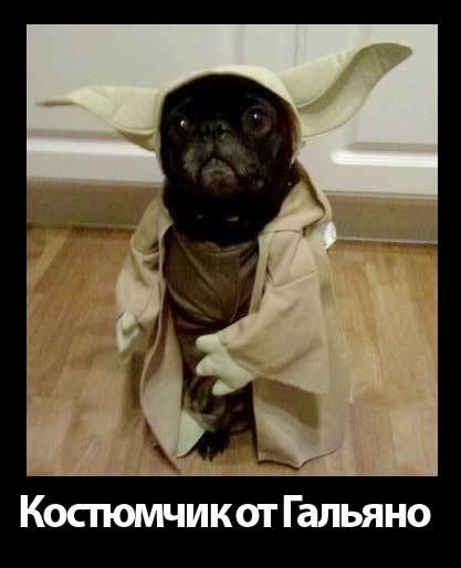 Андрей Повстянко